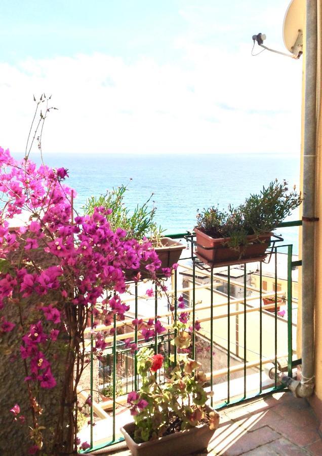 Partenope Levanto
